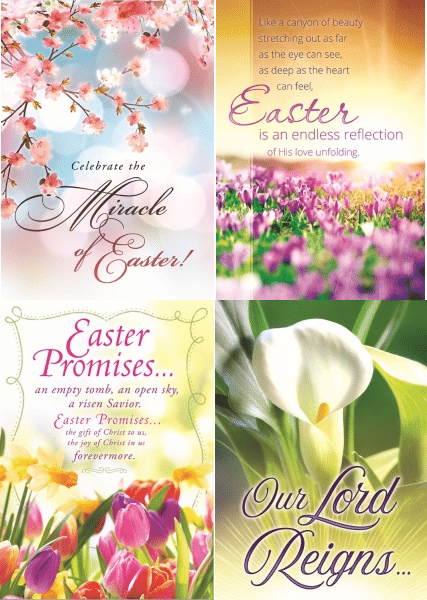 The Miracle of Easter - Easter Boxed Greeting Cards - The Christian Shop